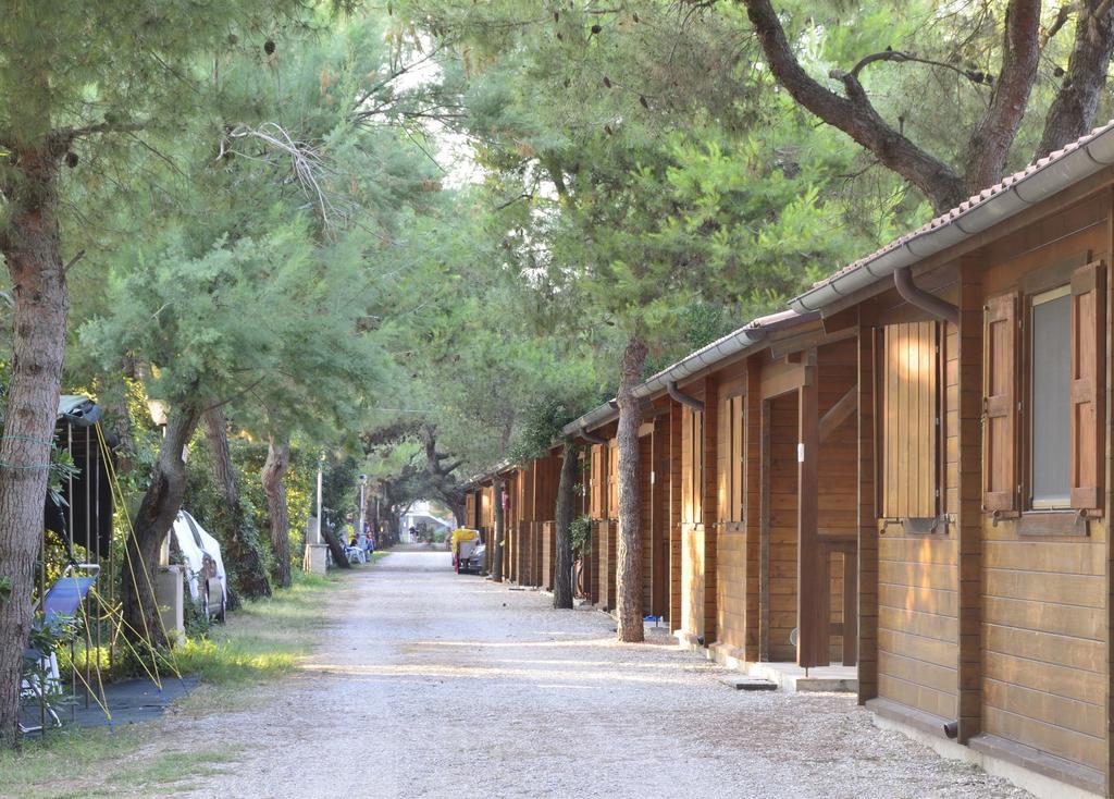 Camping La Pineta ポルト・レカナーティ エクステリア 写真
